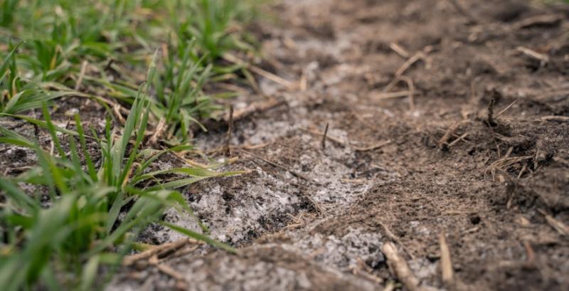 В Україні достатній рівень вологи у ґрунті — Метео Фарм