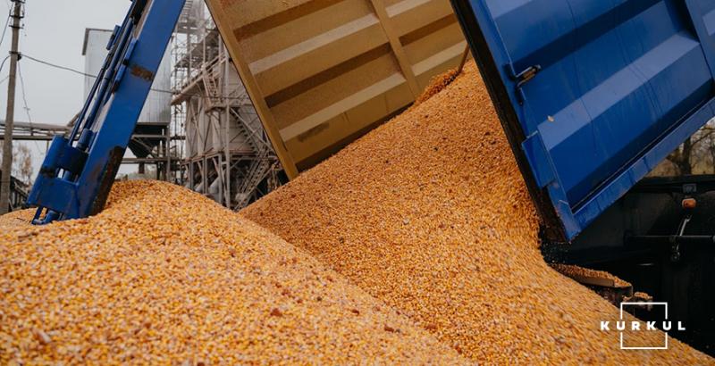 Україна зменшила експорт зернових культур на 10 млн тонн