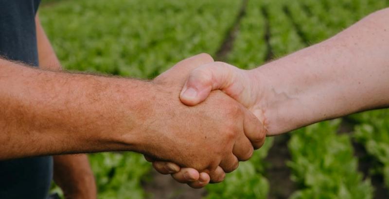 Україна та Польща збільшать обіг сільськогосподарської продукції