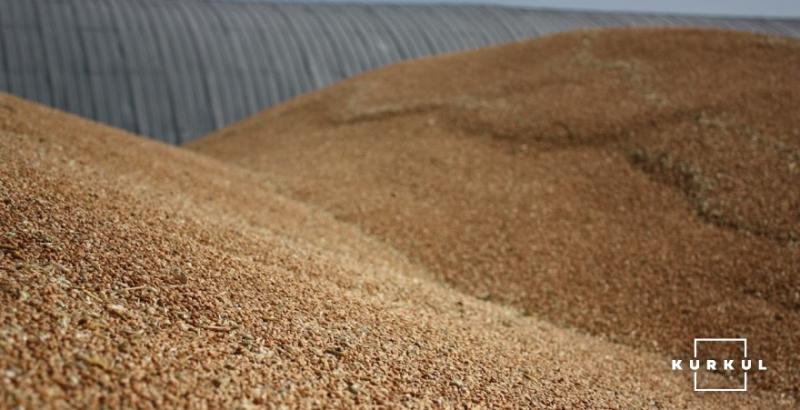 Україна скоротила експорт пшениці майже на 4 млн тонн
