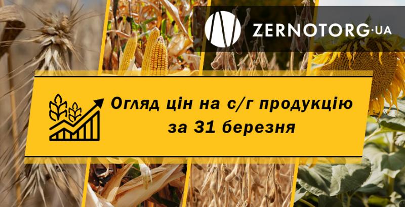 Ціни на зернові та олійні — огляд за 31 березня від Zernotorg.ua