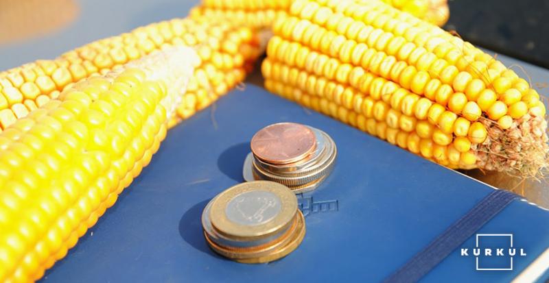 Україні потрібно знижувати ціну на кукурудзу — думка