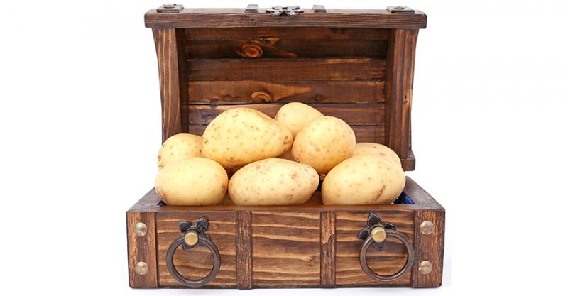 Британські виробники картоплі відмовились від обов’язкового податку 