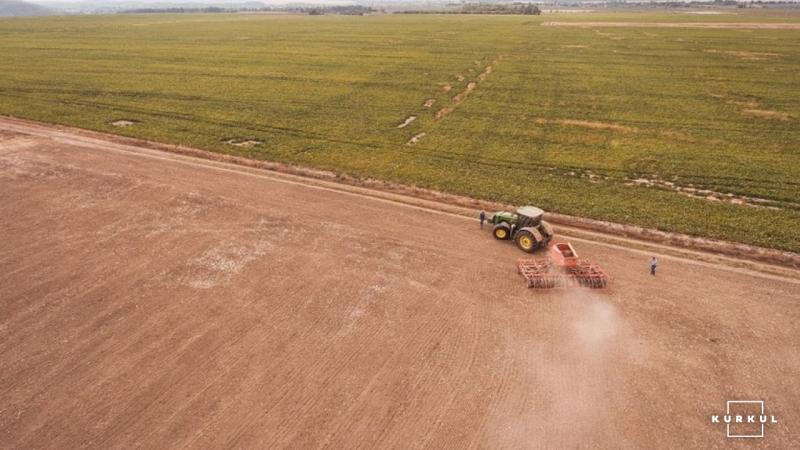 Весняно-польові роботи на Одещині коштуватимуть фермерам 7 млрд грн