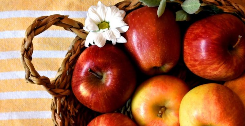 В ЄС урожай яблук буде нижче середнього за останні 5 років