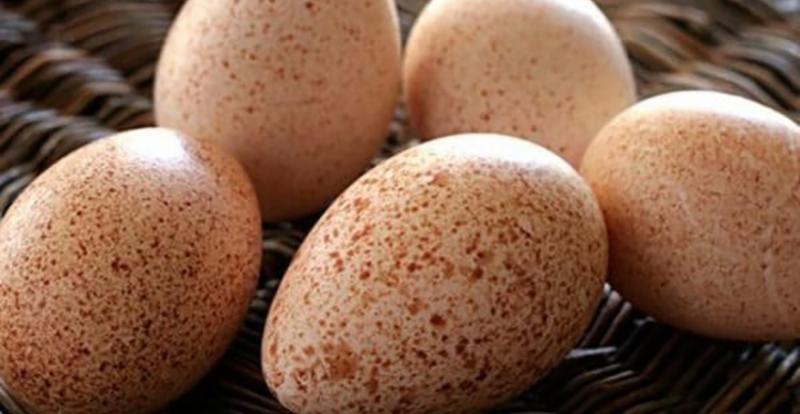 У 2020 році сільгосппідприємства України отримали вдвічі більше індичих яєць