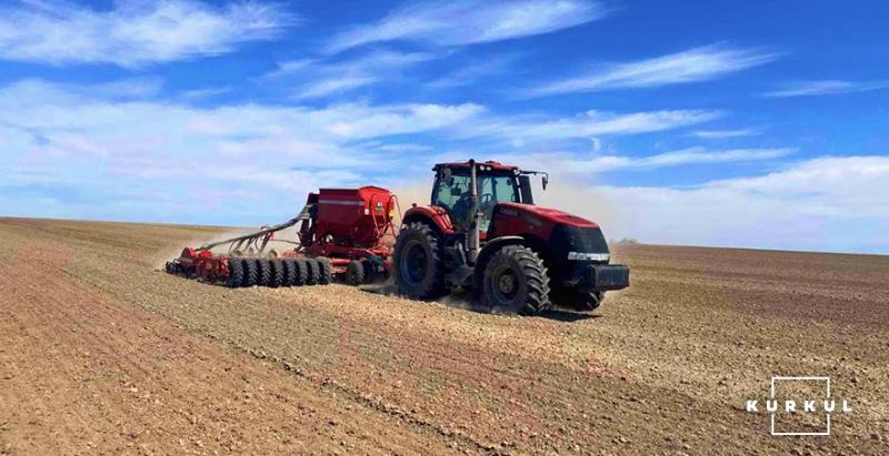 Аграрії США посіяли 11% ярої пшениці