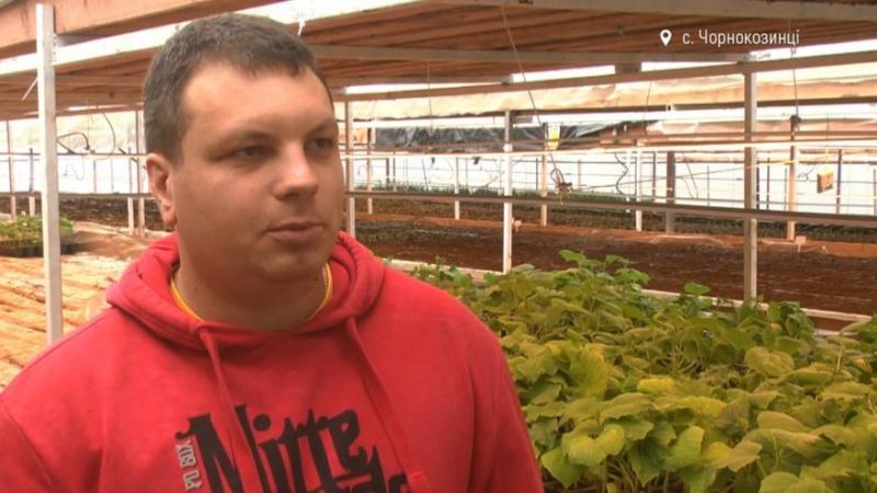 Фермер із Хмельниччини вирощує зелень та овочі за допомогою ІТ-технологій