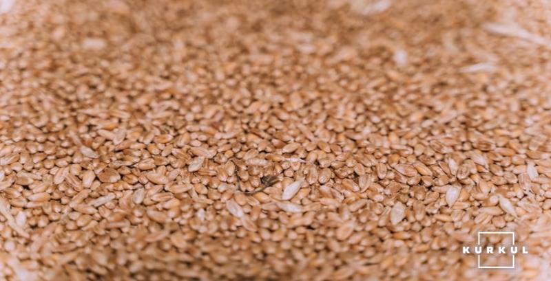 Україна експортувала 85% обсягу пшениці узгодженого в Меморандумі