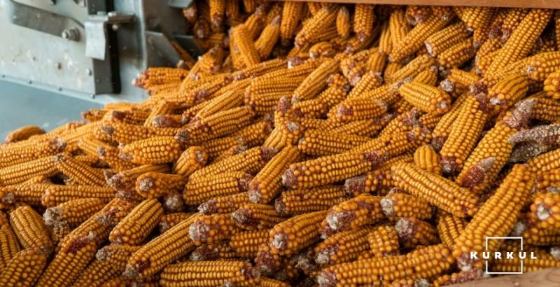 Україна експортувала понад 18 млн т кукурудзи