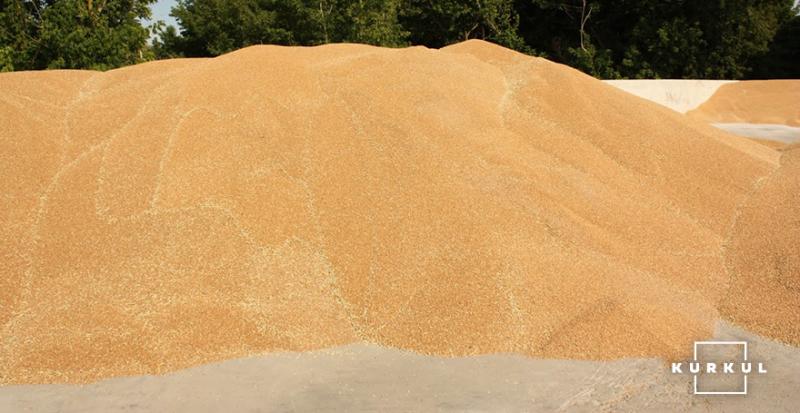 Україна експортувала майже 38 млн тонн зерна