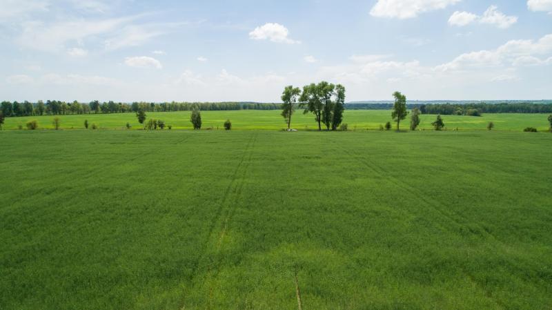 В Україні ухвалено законопроєкт про земельну децентралізацію