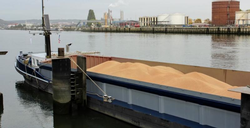 В Херсоні одна з компаній монопольно фумігує вантажі — зерновики
