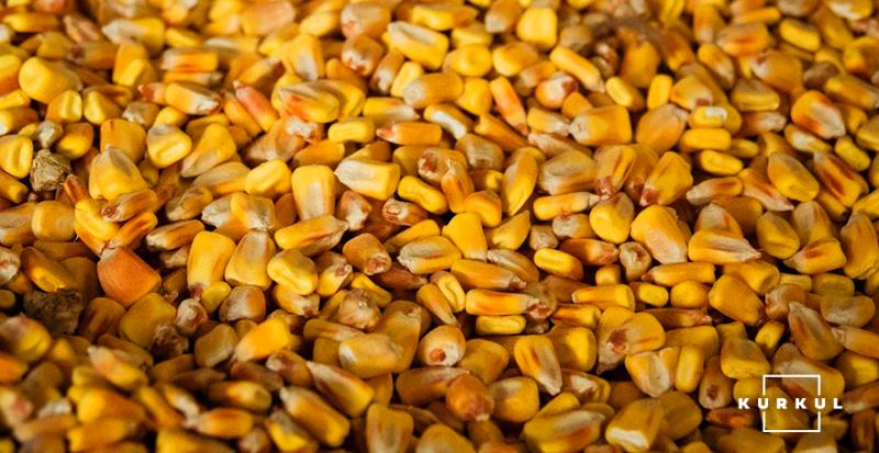 Україна експортувала понад 19 млн тонн кукурудзи