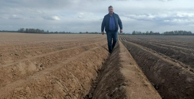 У ФГ Напорівське з Чернігівщини збільшили площі під картоплею 