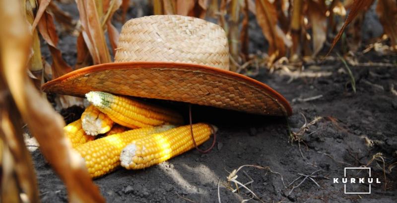 Через сильну посуху в Бразилії у виграші опиняться українські виробники кукурудзи — думка