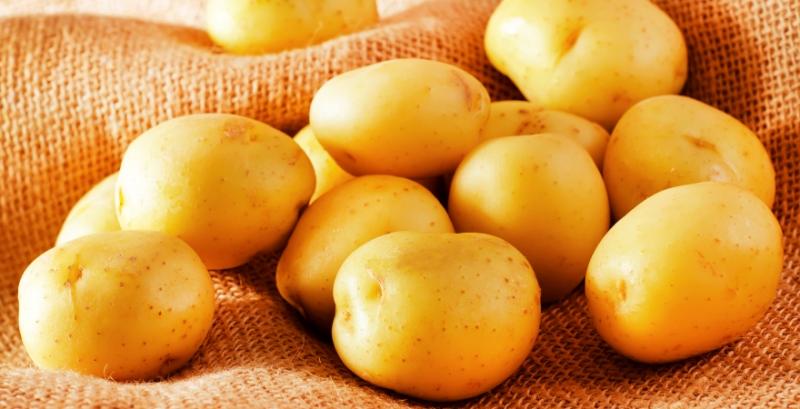 Бізнес на картоплі в Україні не працює — Дробязко