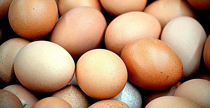 В Україні почали дешевшати яйця