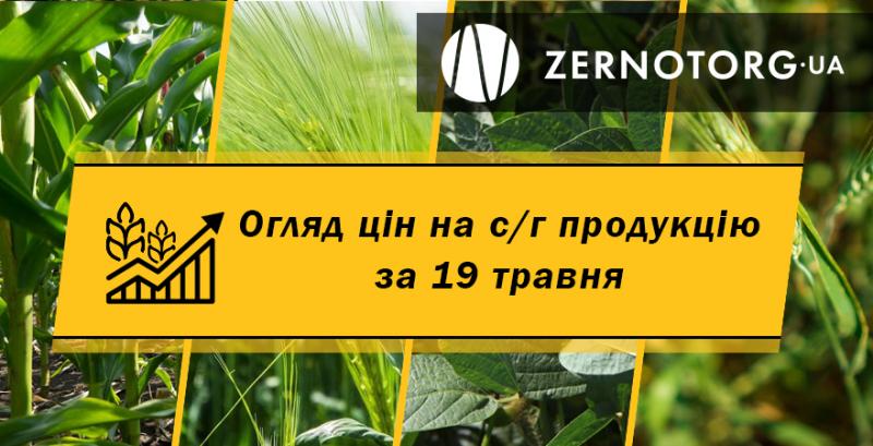 В Україні впали ціни на кукурудзу — огляд за 19 травня від Zernotorg.ua