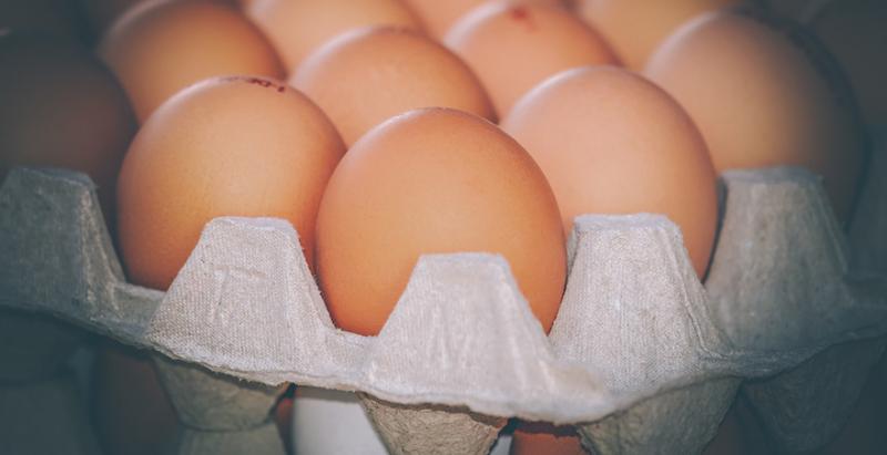 Українські агропідприємства на 21% скоротили виробництво яєць