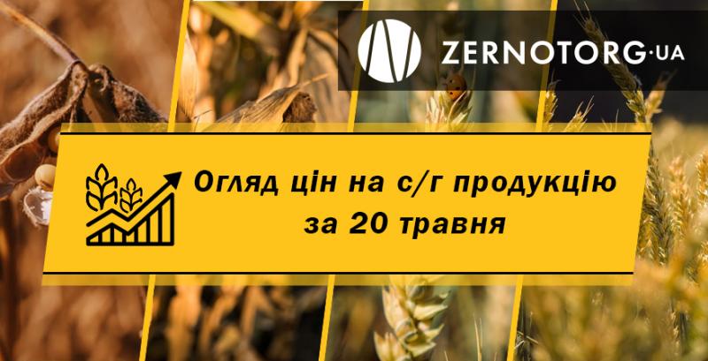 Ціни на зернові та олійні — огляд за 20 травня від Zernotorg.ua