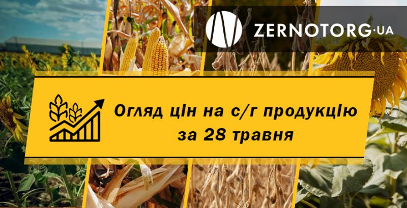 Ціни на зернові та олійні — огляд за 28 травня від Zernotorg.ua