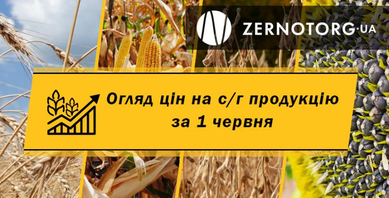 Ціни на зернові та олійні — огляд за 1 червня від Zernotorg.ua
