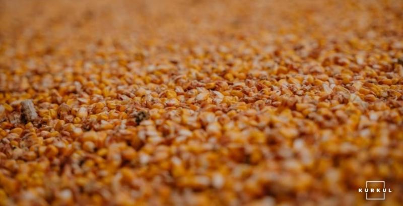Обмаль пропозицій фуражного зерна чинитиме вплив на ціни — G.R. Agro