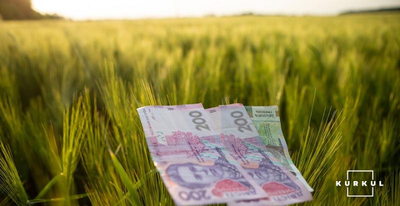 Українським аграріям спростять доступ до програм держпідтримки
