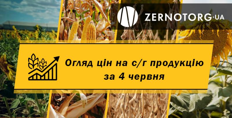 Ціни на с/г продукцію — огляд за 4 червня від Zernotorg.ua