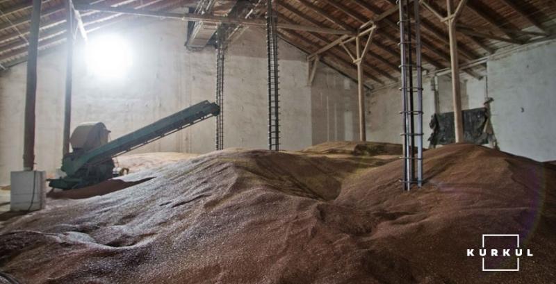 Аграріям розповіли, як не втрачати щорічно мільйони тонн зерна через шкідників запасів