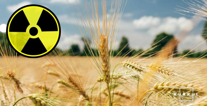 В Україні збільшуються площі посівів сільгоспкультур на радіоактивно забруднених землях