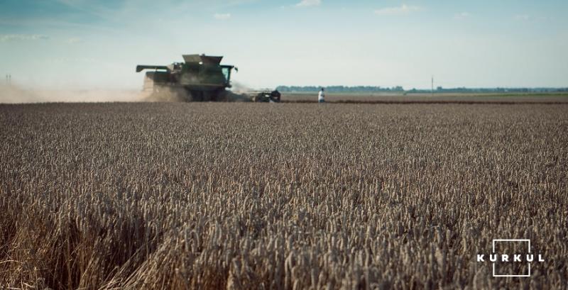 Херсонські аграрії можуть втратити  до 25% врожаю зерна 