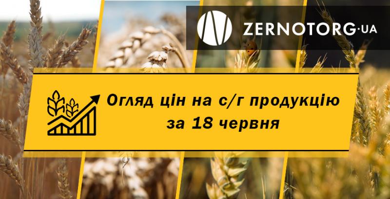 Ціни на зернові та олійні — огляд за 18 червня від Zernotorg.ua