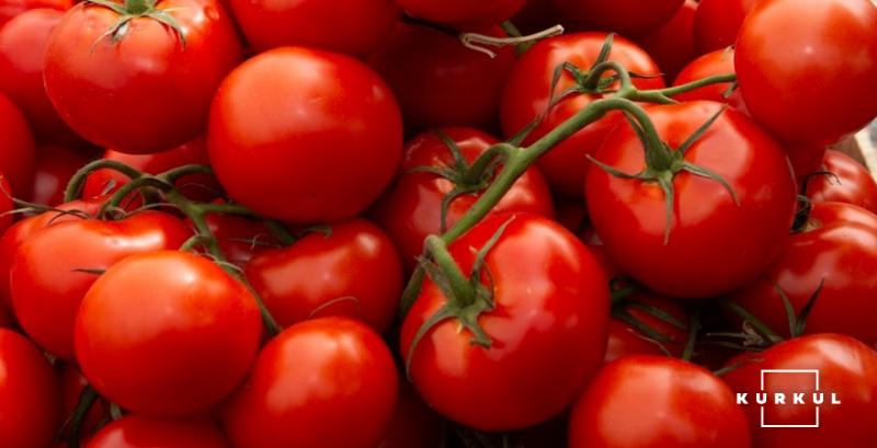 В Україні дешевшають огірки та помідори