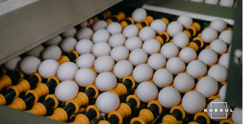 В Україні зменшилось виробництво яєць