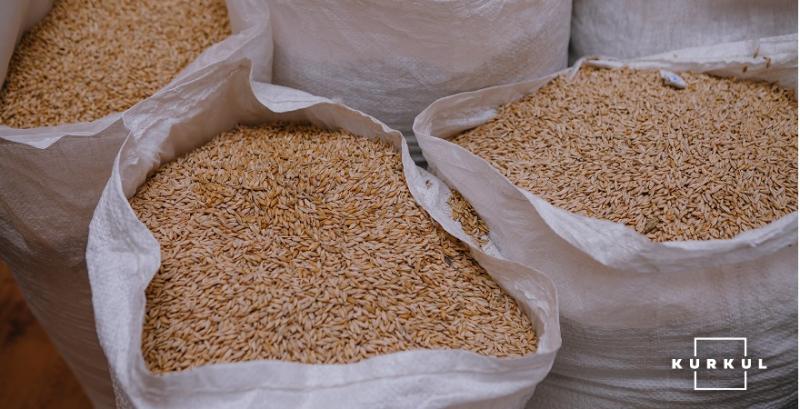 Експерти прогнозують збільшення світового врожаю зернових