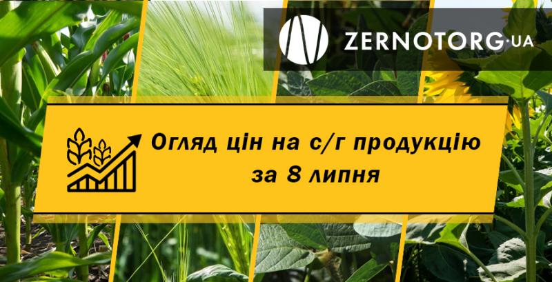 Ціни на зернові та олійні — огляд за 8 липня від Zernotorg.ua