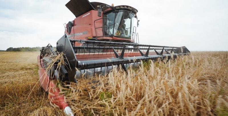 В Україні намолочено перший мільйон тонн зерна нового врожаю