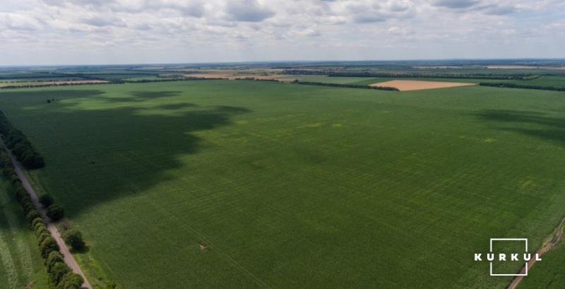 Озвучено фактори впливу на ціну землі в Україні