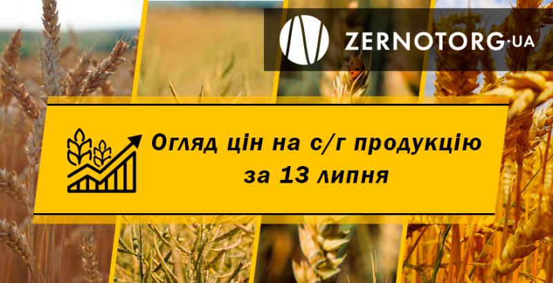 В Україні дешевшає ріпак — огляд за 13 липня від Zernotorg.ua