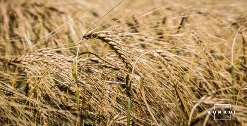 Аграрії Дніпропетровщини виконали 16% запланованих робіт зі збору врожаю