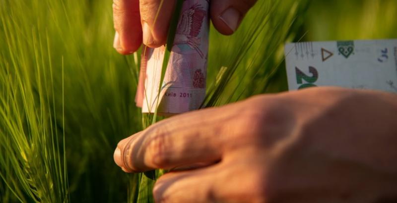 ПУМБ надав дрібним аграріям кредитів на понад 2 млрд грн