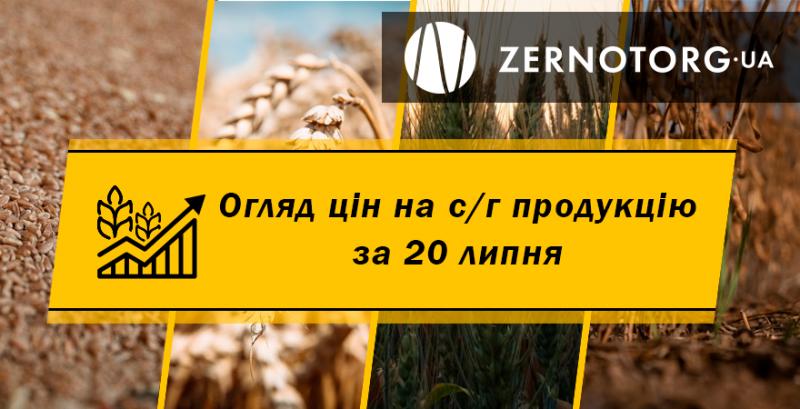 Ціни на с/г продукцію — огляд за 20 липня від Zernotorg.ua