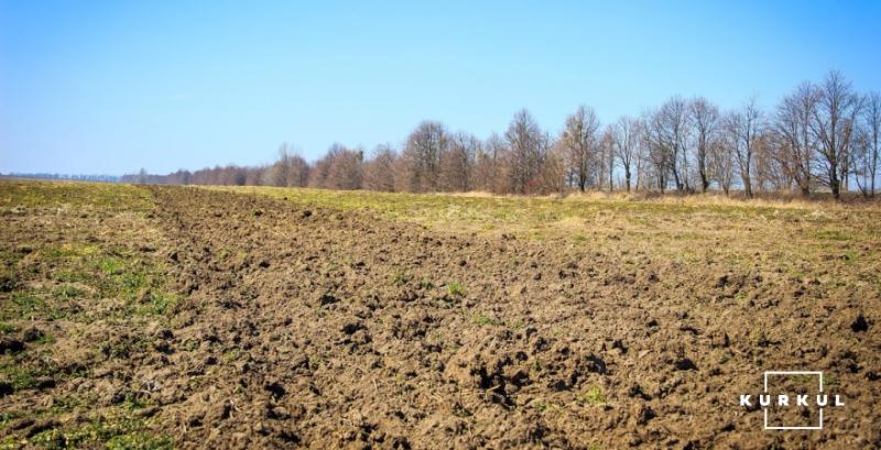 Від старту ринку землі в Україні укладено понад тисячу земельних угод