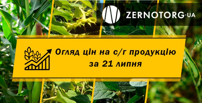 Ціни на зернові та олійні — огляд за 21 липня від Zernotorg.ua