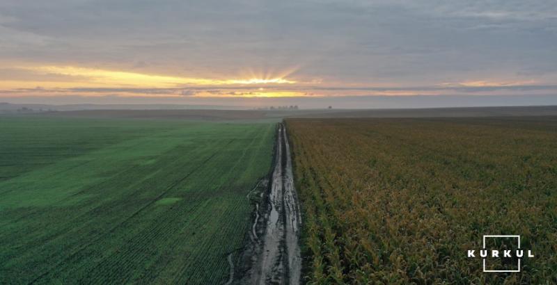 Через зміни клімату дві третини території України стануть зоною ризикованого землеробства — Лещенко