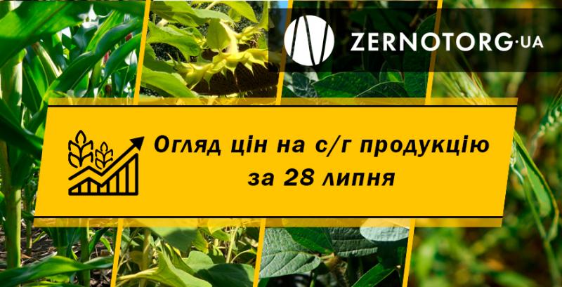 Ціни на зернові та олійні — огляд за 28 липня від Zernotorg.ua