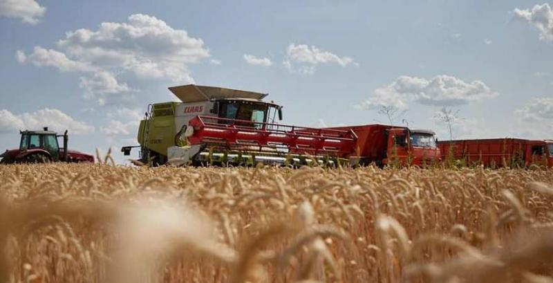 На Харківщині обмолочено 50% посівів ранніх зернових
