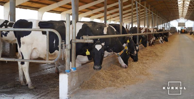 Британські експерти поділяться досвідом управління молочними фермами